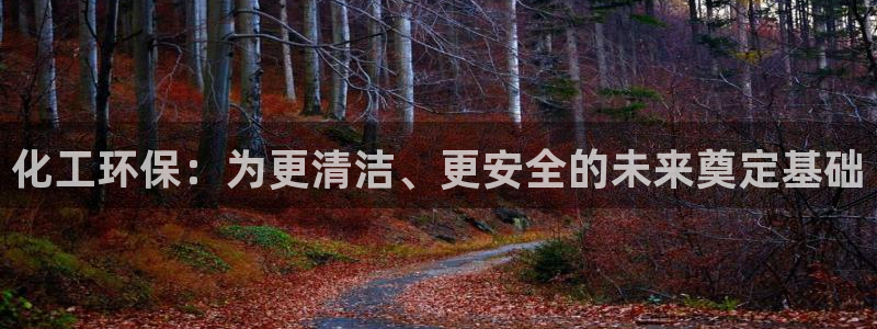 亿万先生网址生：化工环保：为更清洁、更安全的未来奠定基础