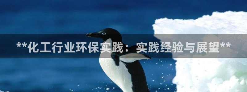 亿万问答：**化工行业环保实践：实践经验与展望**