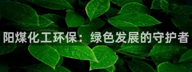 亿万先生网页在线客服：阳煤化工环保：绿色发展的守护者
