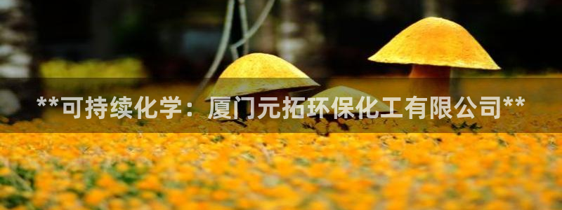 亿万 在线：**可持续化学：厦门元拓环保化工有限公司**