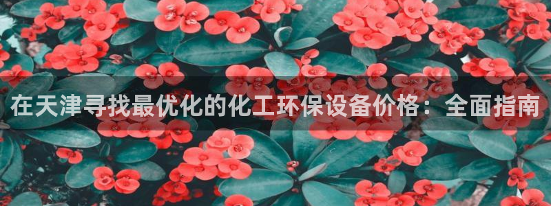 亿万官网字幕组官网下载：在天津寻找最优化的化工环保设备价格：全面指南