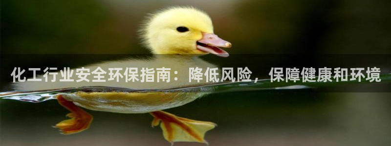 亿万先生mr07官网：化工行业安全环保指南：降低风险，保障健康和环境