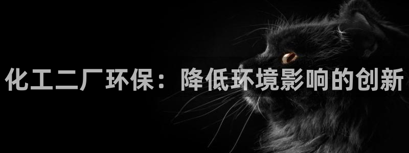 亿万 在线：化工二厂环保：降低环境影响的创新