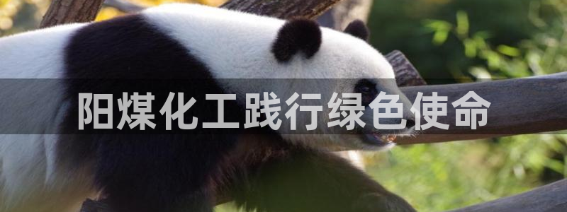 mr07亿万先生：阳煤化工践行绿色使命