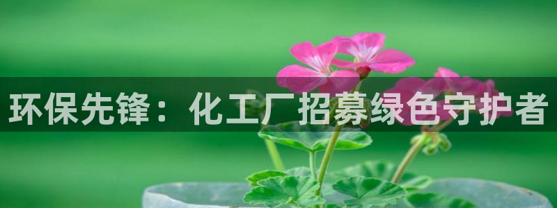 亿万网络科技有限公司：环保先锋：化工厂招募绿色守护者
