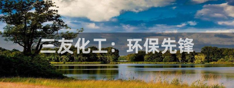 亿万集团有限公司：三友化工：环保先锋