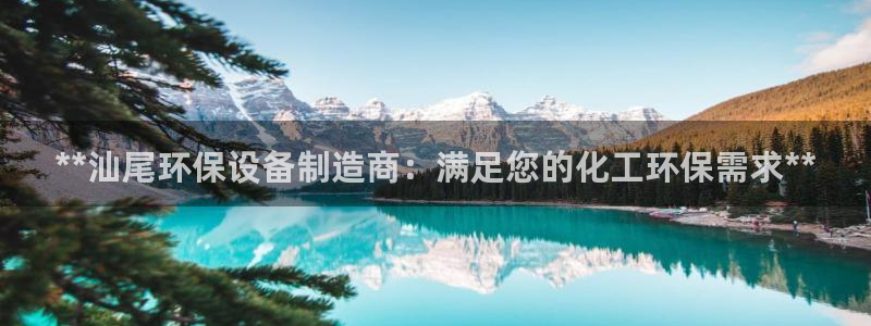 亿万先生007网页登录不了：**汕尾环保设备制造商：满足您的化工环保需求**