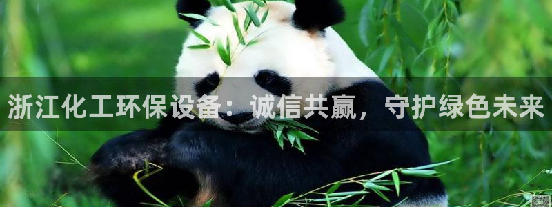 亿万笞人：浙江化工环保设备：诚信共赢，守护绿色未来