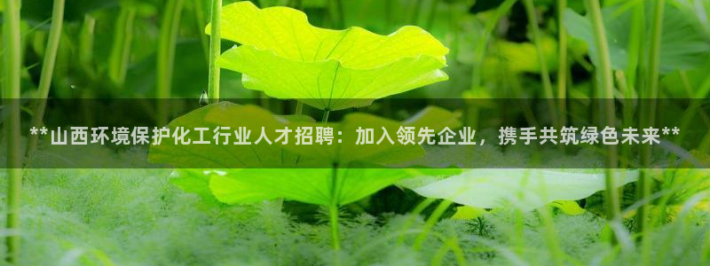 亿万先生mr07官网：**山西环境保护化工行业人才招聘：加入领先企业，携手共筑绿色未来**