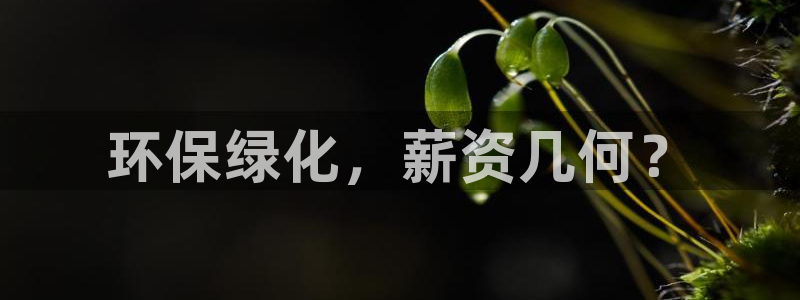 亿万网络科技有限公司