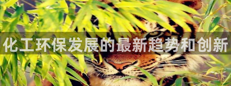 亿万先生网站：化工环保发展的最新趋势和创新