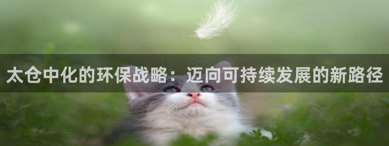 亿万国际平台是正规的吗安全吗