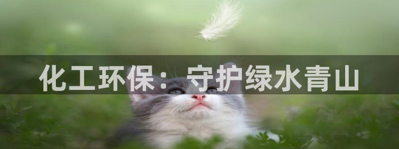 mr07亿万先生：化工环保：守护绿水青山