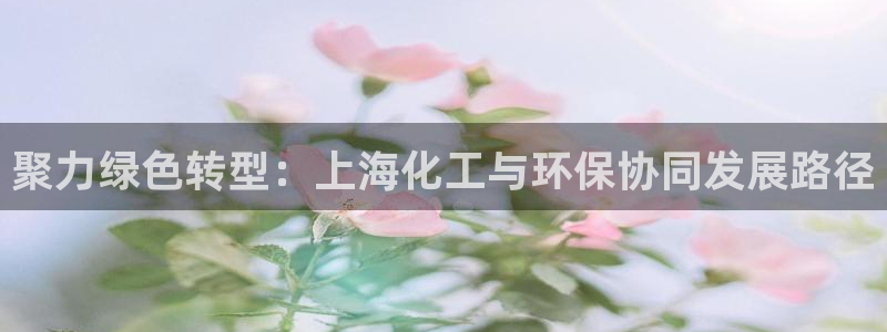 亿万先生网页版登录：聚力绿色转型：上海化工与环保协同发展路径