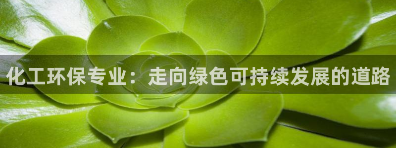 亿万百度贴吧：化工环保专业：走向绿色可持续发展的道路