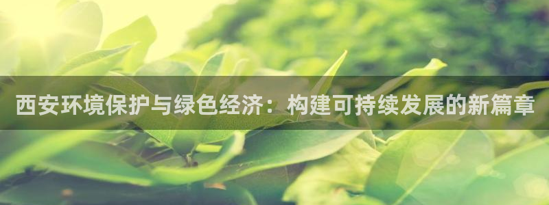亿万28下载地址：西安环境保护与绿色经济：构建可持续发展的新篇章