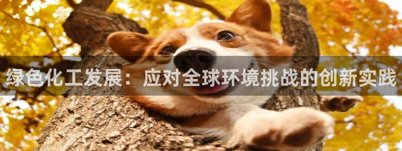 亿万先生客服联系方式：绿色化工发展：应对全球环境挑战的创新实践