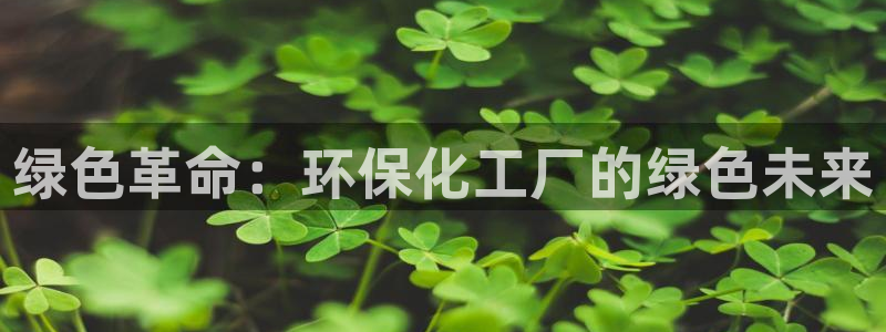 亿万网络科技有限公司ceo：绿色革命：环保化工厂的绿色未来
