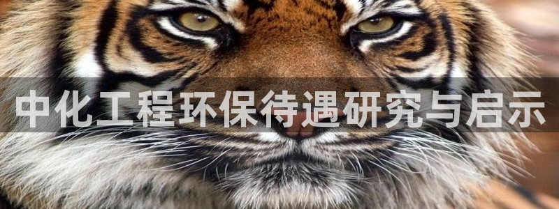 亿万剧情详解：中化工程环保待遇研究与启示