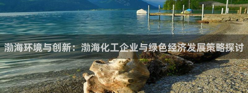 亿万第一季字幕：渤海环境与创新：渤海化工企业与绿色经济发展策略探讨