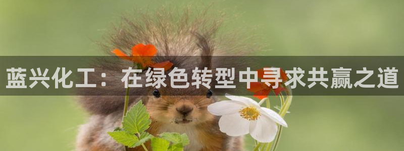 亿万下载徐家汇朋友圈说说：蓝兴化工：在绿色转型中寻求共赢之道