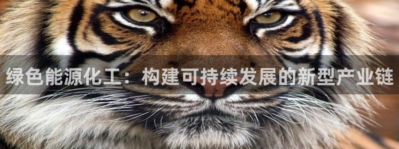 亿万先生客服联系方式是什么