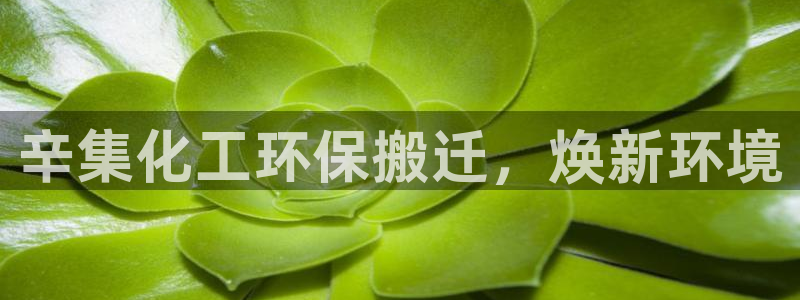亿万解析：辛集化工环保搬迁，焕新环境