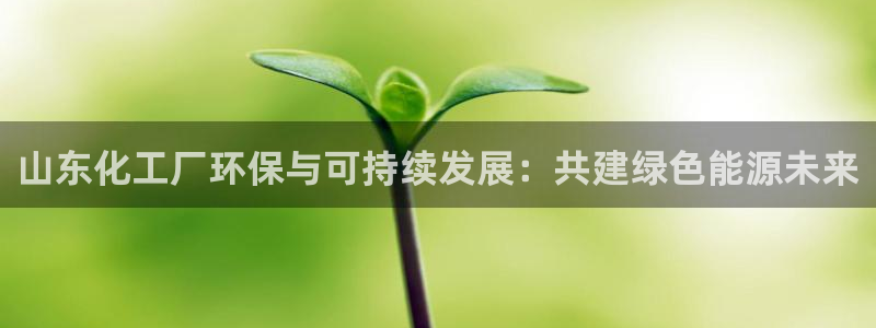 亿万城市手游：山东化工厂环保与可持续发展：共建绿色能源未来