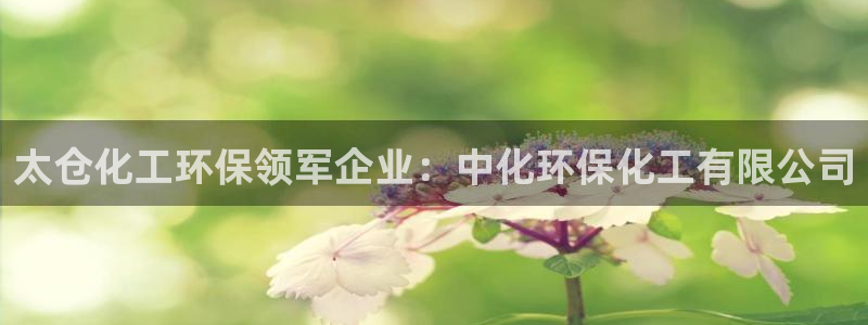mr07亿万先生：太仓化工环保领军企业：中化环保化工有限公司