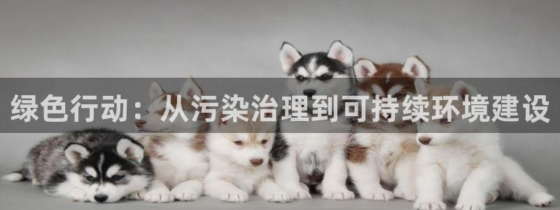亿万先生手游下载安装：绿色行动：从污染治理到可持续环境建设