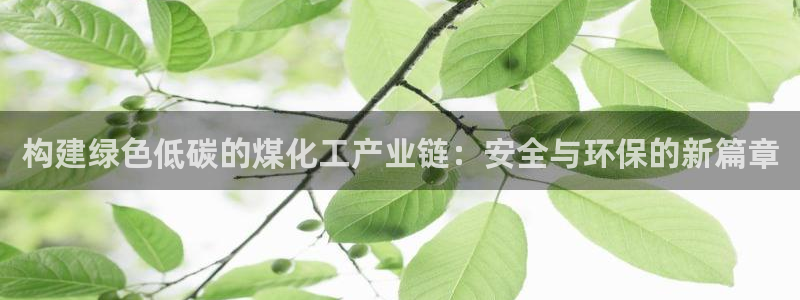 亿万先生情侣车有什么用：构建绿色低碳的煤化工产业链：安全与环保的新篇章