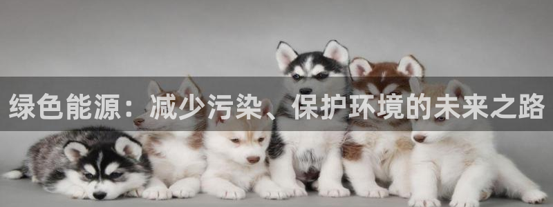 亿万先生mr网址：绿色能源：减少污染、保护环境的未来之路