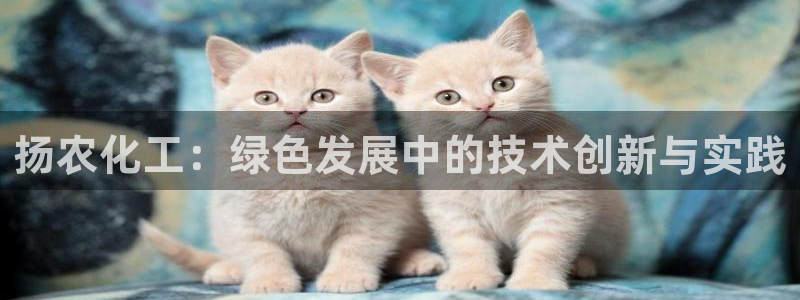 亿万先生官方网站客户端下载安装：扬农化工：绿色发展中的技术创新与实践