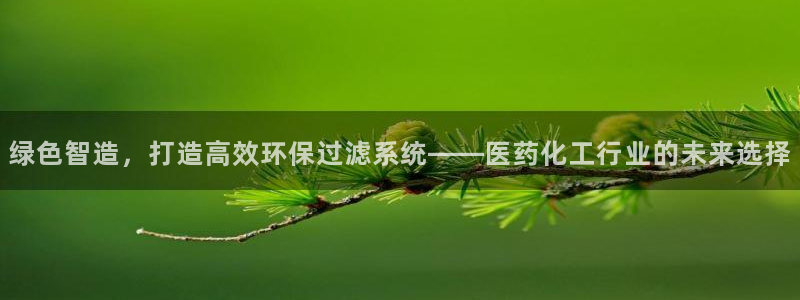 亿万国际游戏官网手机版：绿色智造，打造高效环保过滤系统——医药化工行业的未来选择