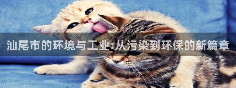 亿万先生手游下载：汕尾市的环境与工业:从污染到环保的新篇章