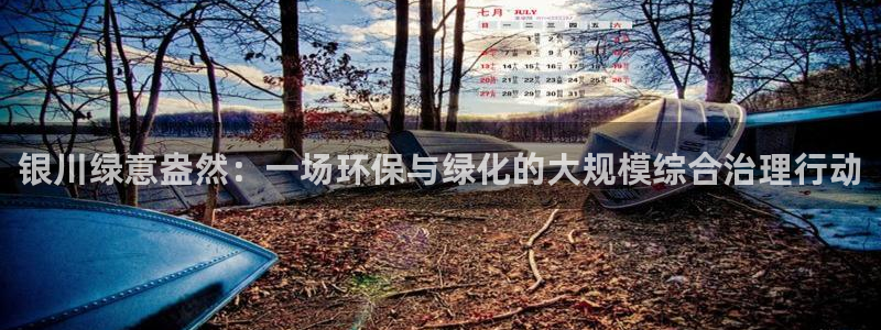 亿万先生客户端下载：银川绿意盎然：一场环保与绿化的大规模综合治理行动