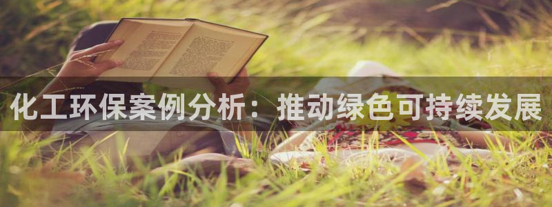 亿万先生官方客服：化工环保案例分析：推动绿色可持续发展