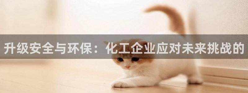 亿万手游官网网址：升级安全与环保：化工企业应对未来挑战的
