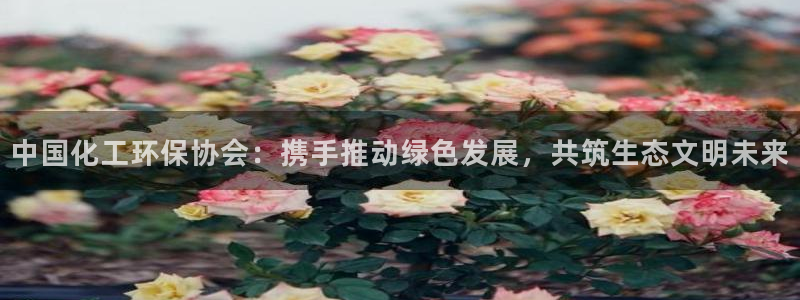 亿万手游平台官网：中国化工环保协会：携手推动绿色发展，共筑生态文明未来
