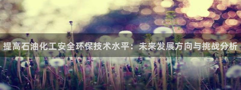 亿万网友在线解答：提高石油化工安全环保技术水平：未来发展方向与挑战分析