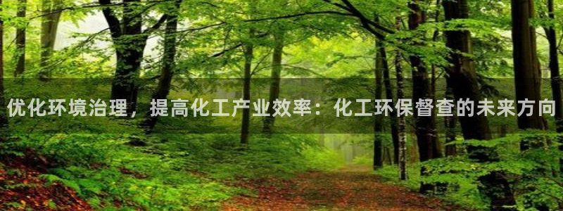 亿万先生首页：优化环境治理，提高化工产业效率：化工环保督查的未来方向