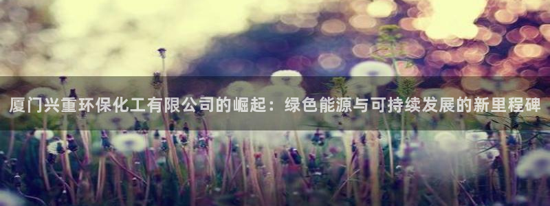 亿万啥意思：厦门兴重环保化工有限公司的崛起：绿色能源与可持续发展的新里程碑
