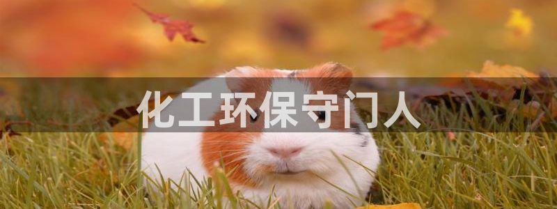 亿万手游官网网址：化工环保守门人