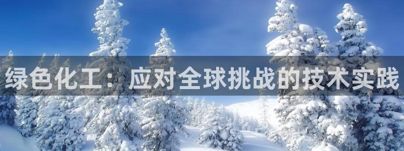 亿万先生官方登录网址：绿色化工：应对全球挑战的技术实践