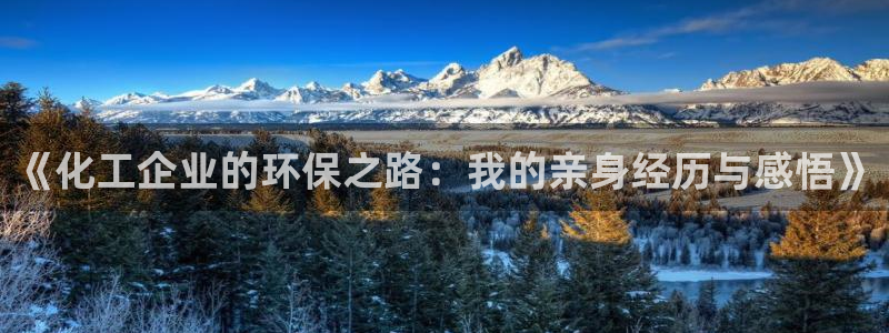 亿万手游官网：《化工企业的环保之路：我的亲身经历与感悟》