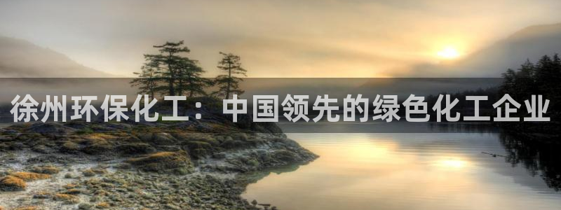 亿万先生官方网站下载手机版：徐州环保化工：中国领先的绿色化工企业