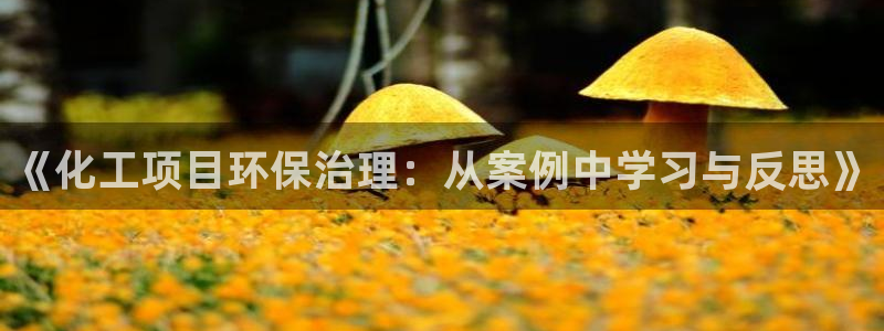亿万番外：《化工项目环保治理：从案例中学习与反思》