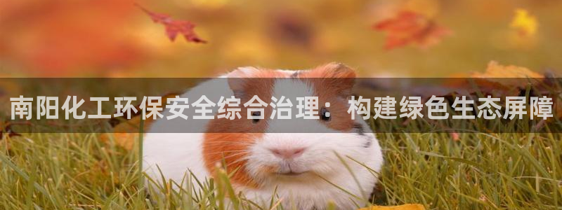 mr亿万先生：南阳化工环保安全综合治理：构建绿色生态屏障