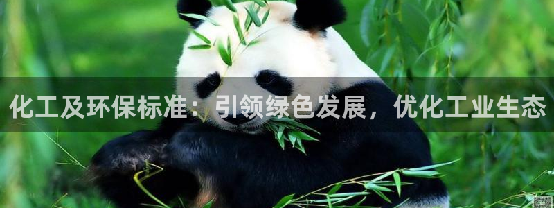 亿万万作者：化工及环保标准：引领绿色发展，优化工业生态