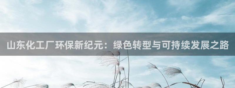 亿万先生手机版客户端下载官网：山东化工厂环保新纪元：绿色转型与可持续发展之路